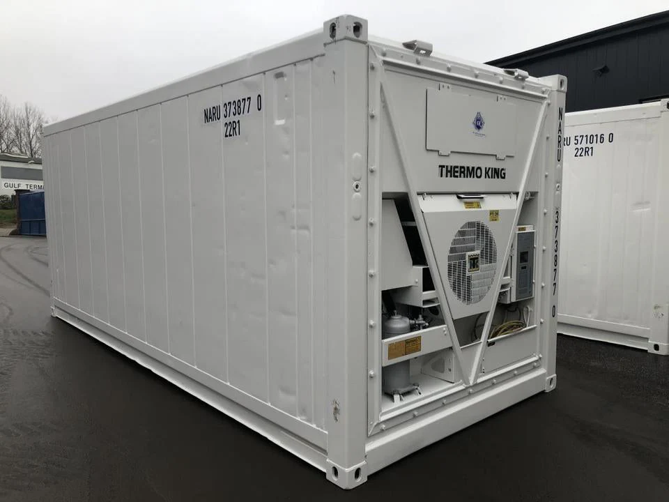 Conteneur frigorifique Thermo King 20 pieds – Image 3